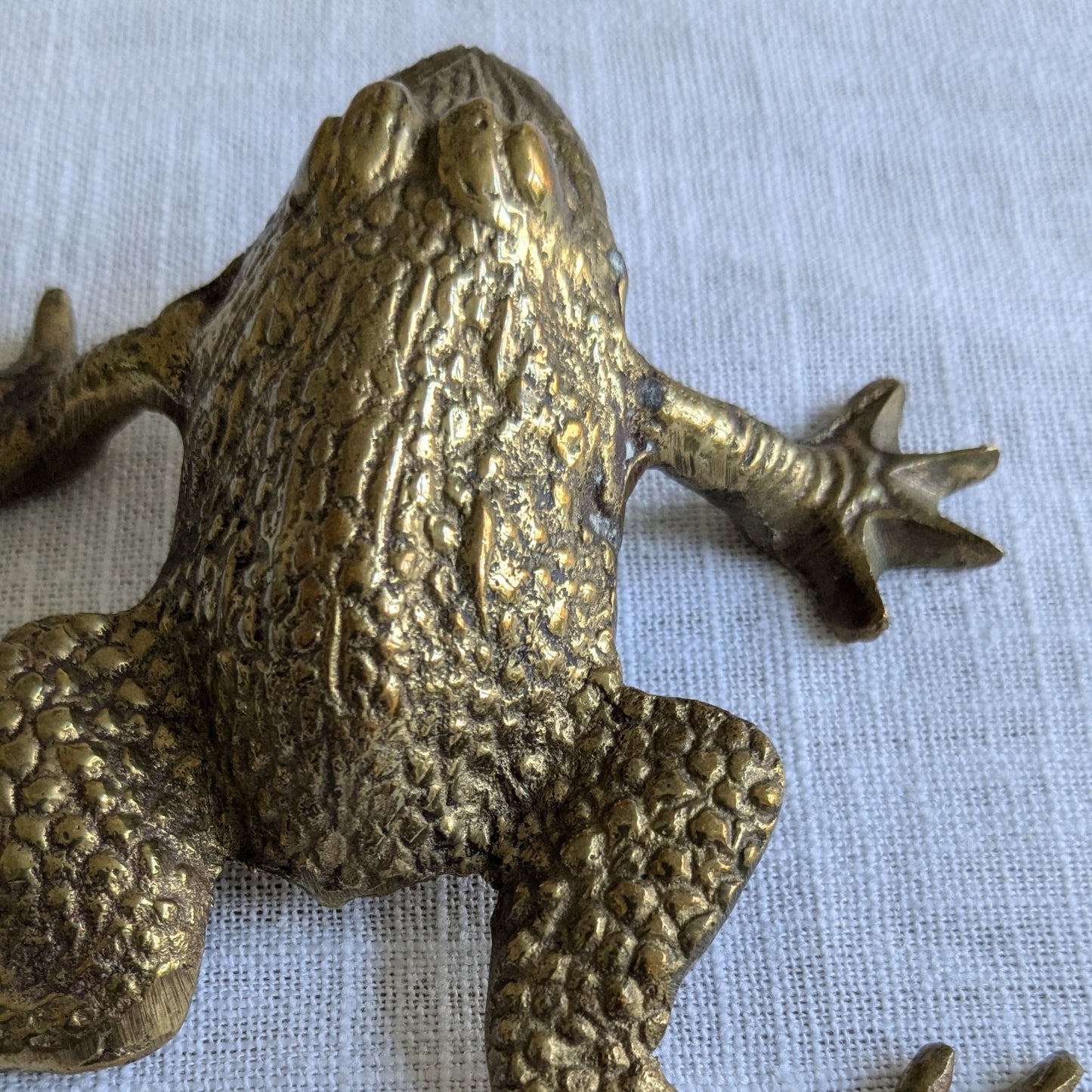 Brass Frog