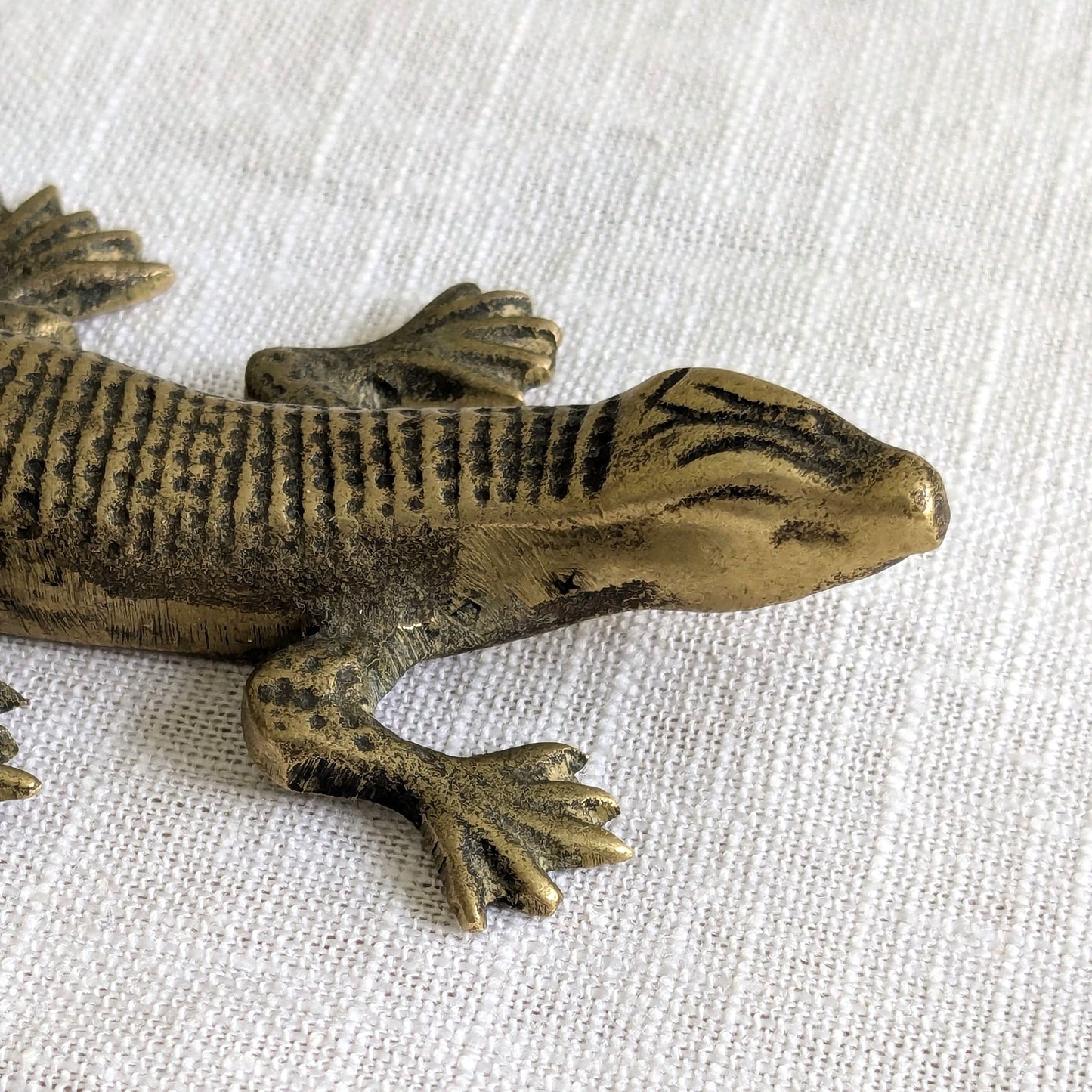 Brass Lizard
