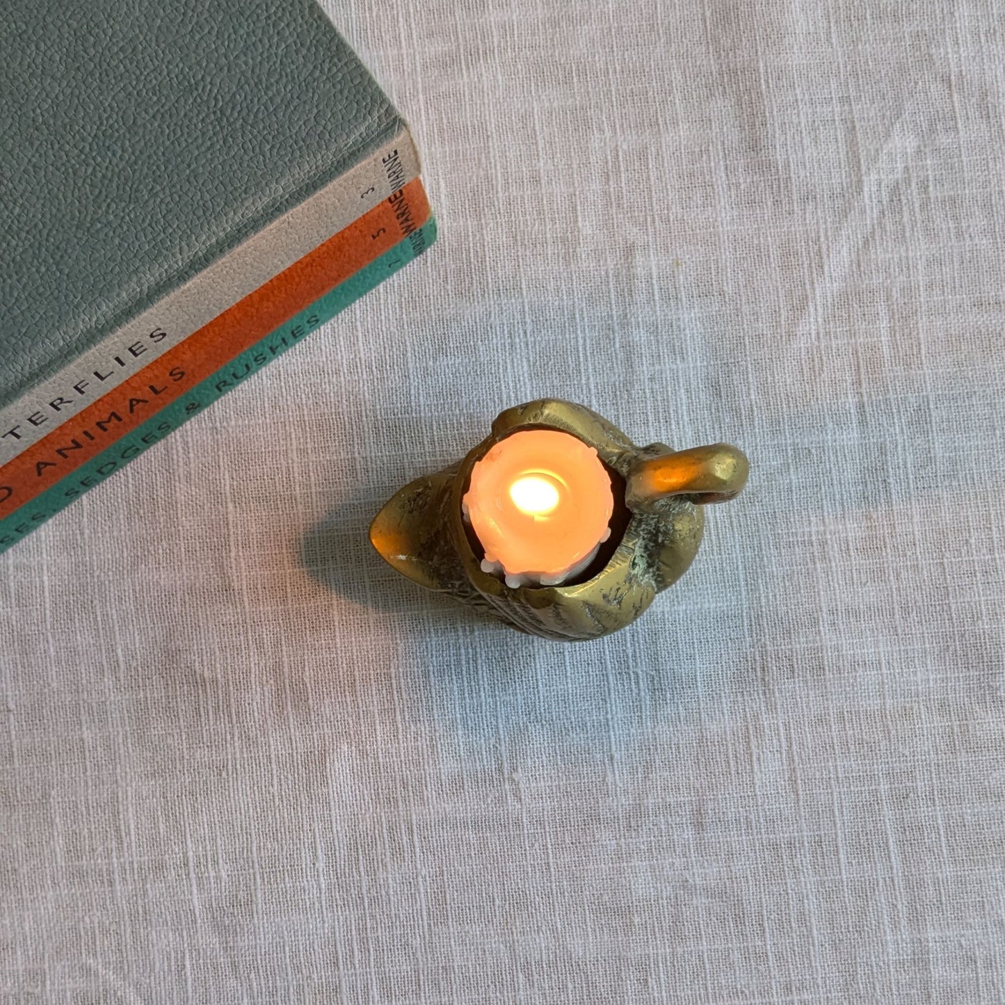 Brass Swan