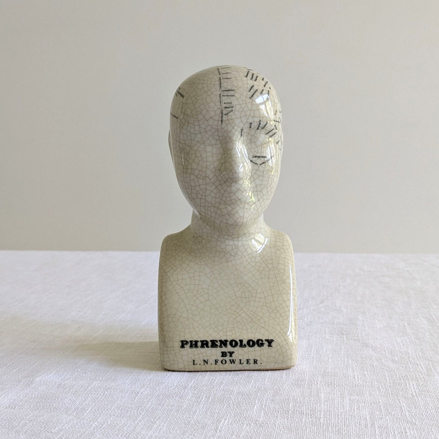 Phrenology Head