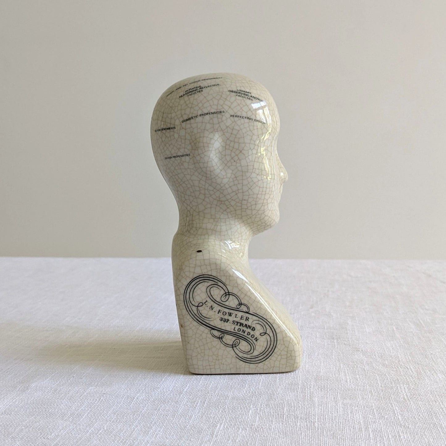 Phrenology Head