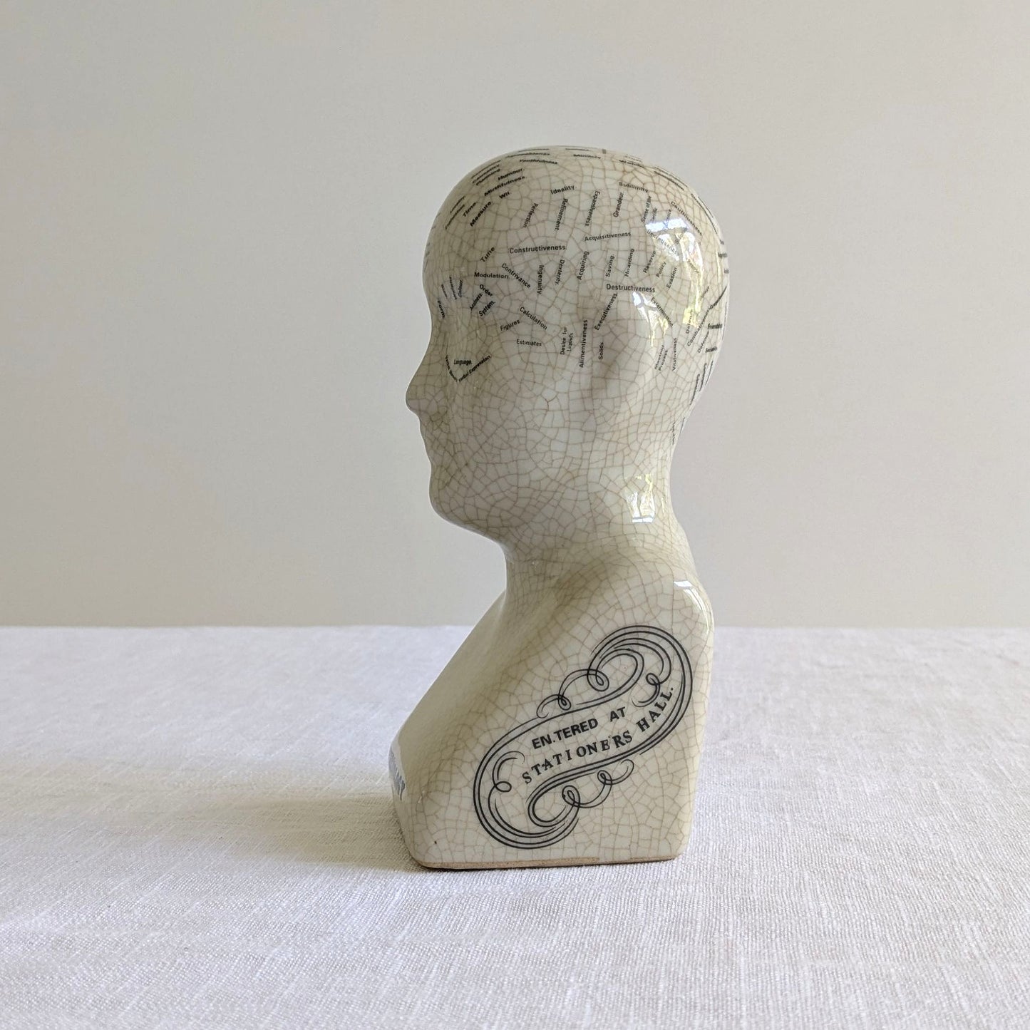 Phrenology Head