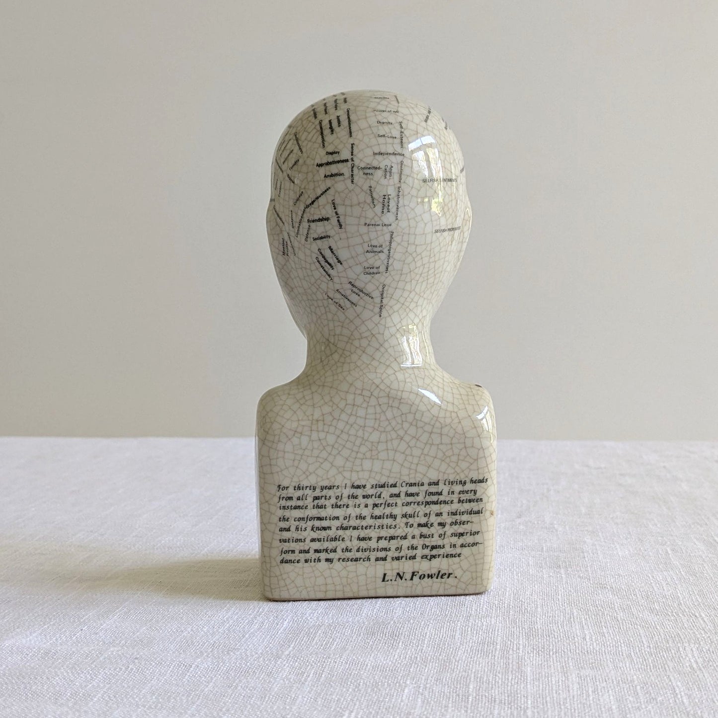 Phrenology Head