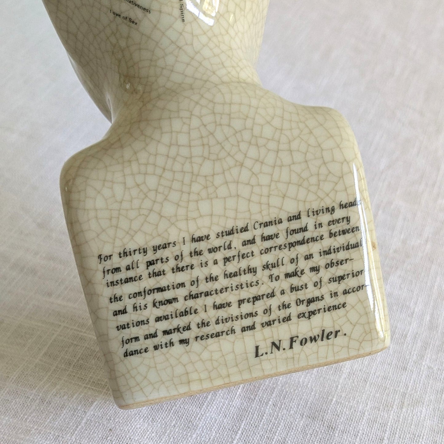 Phrenology Head