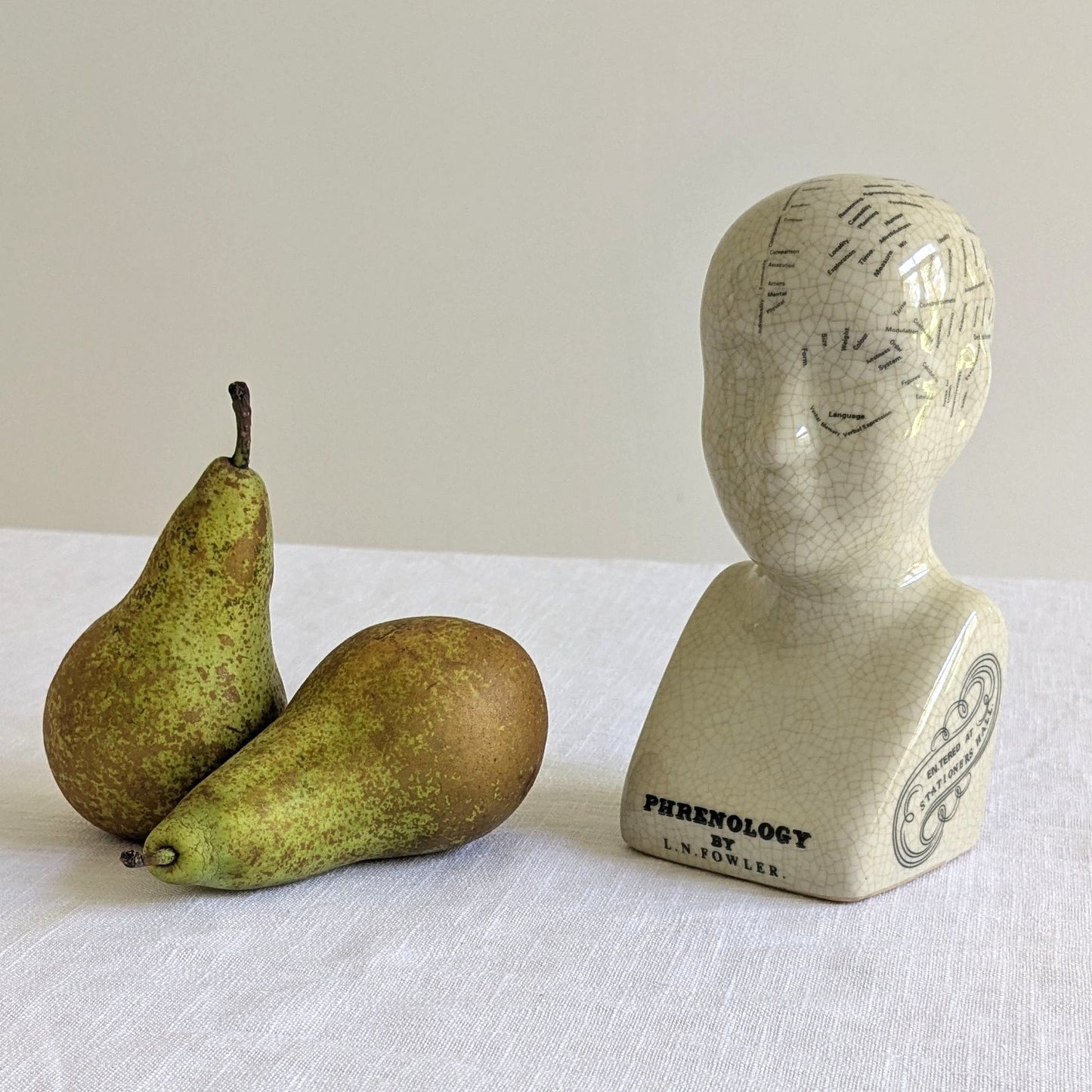 Phrenology Head