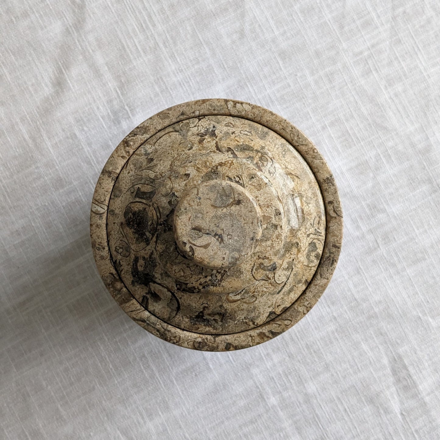 Fossil Stone Jar