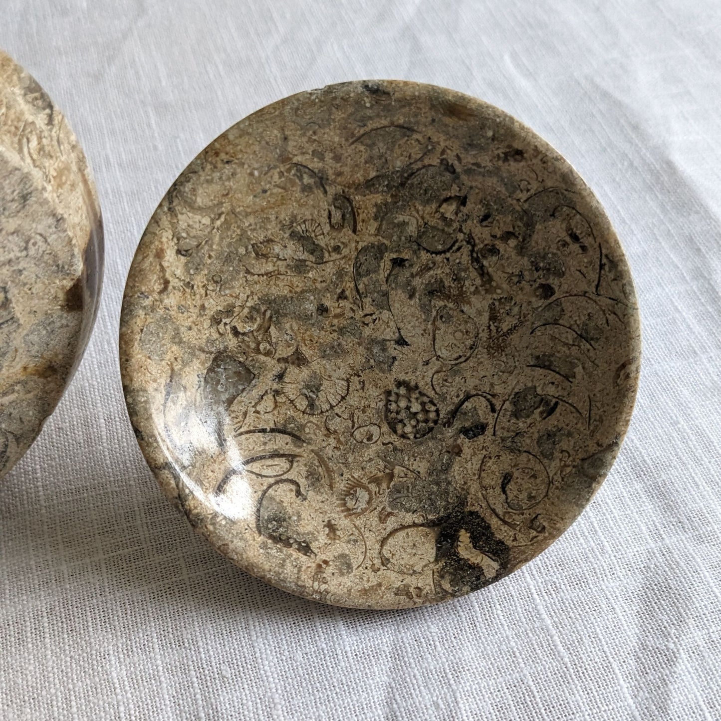 Fossil Stone Jar