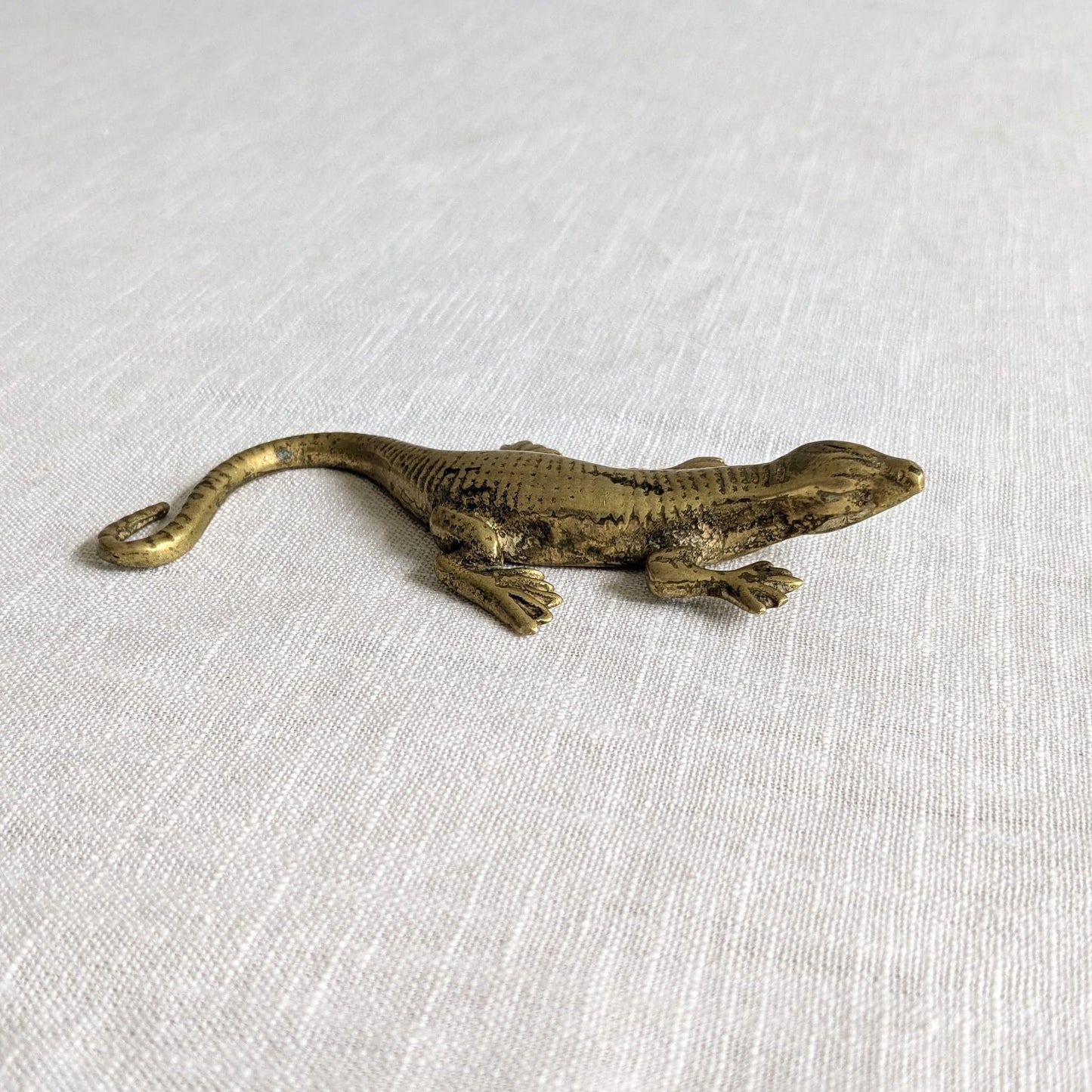 Brass Lizard