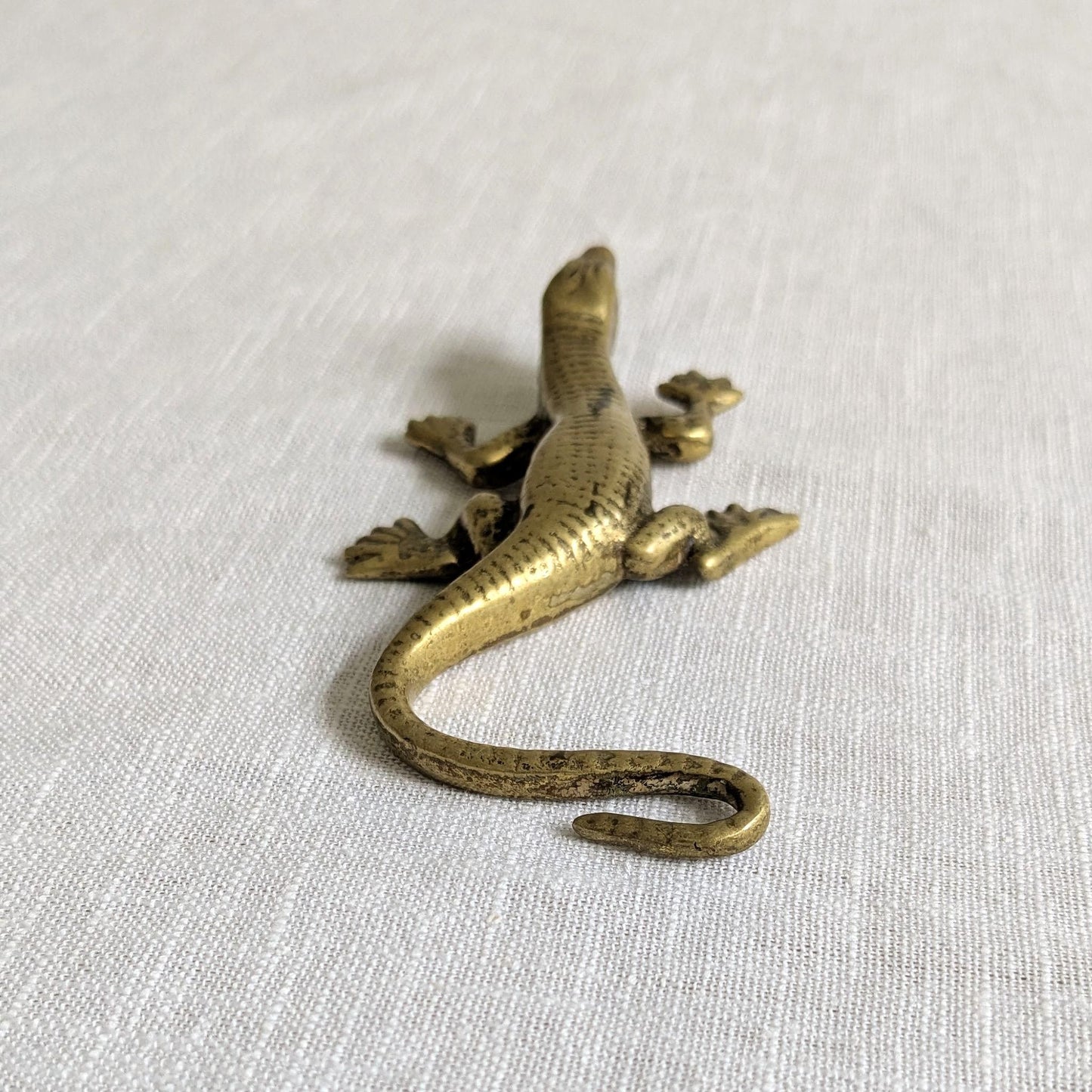 Brass Lizard