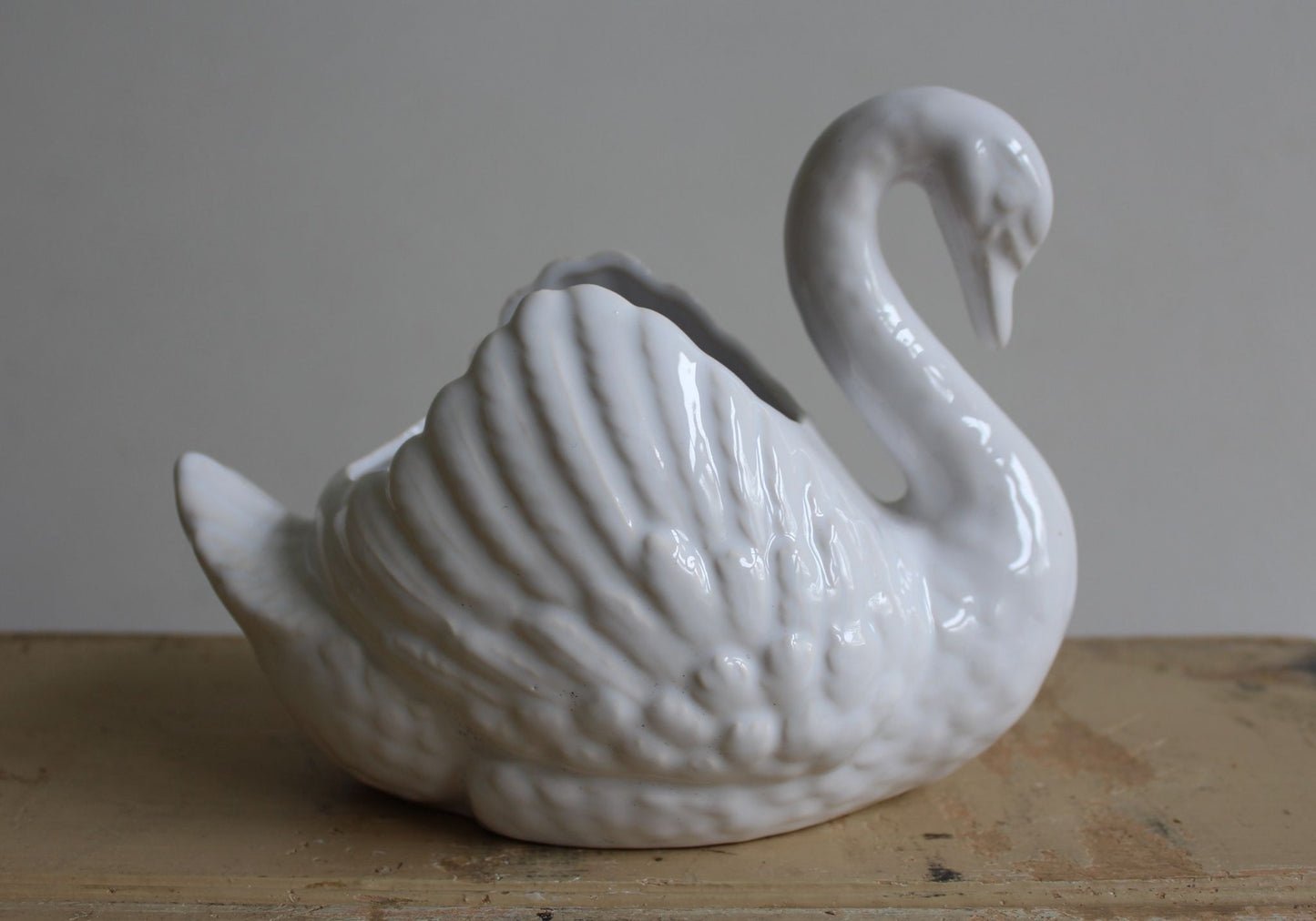 Dartmouth Swan
