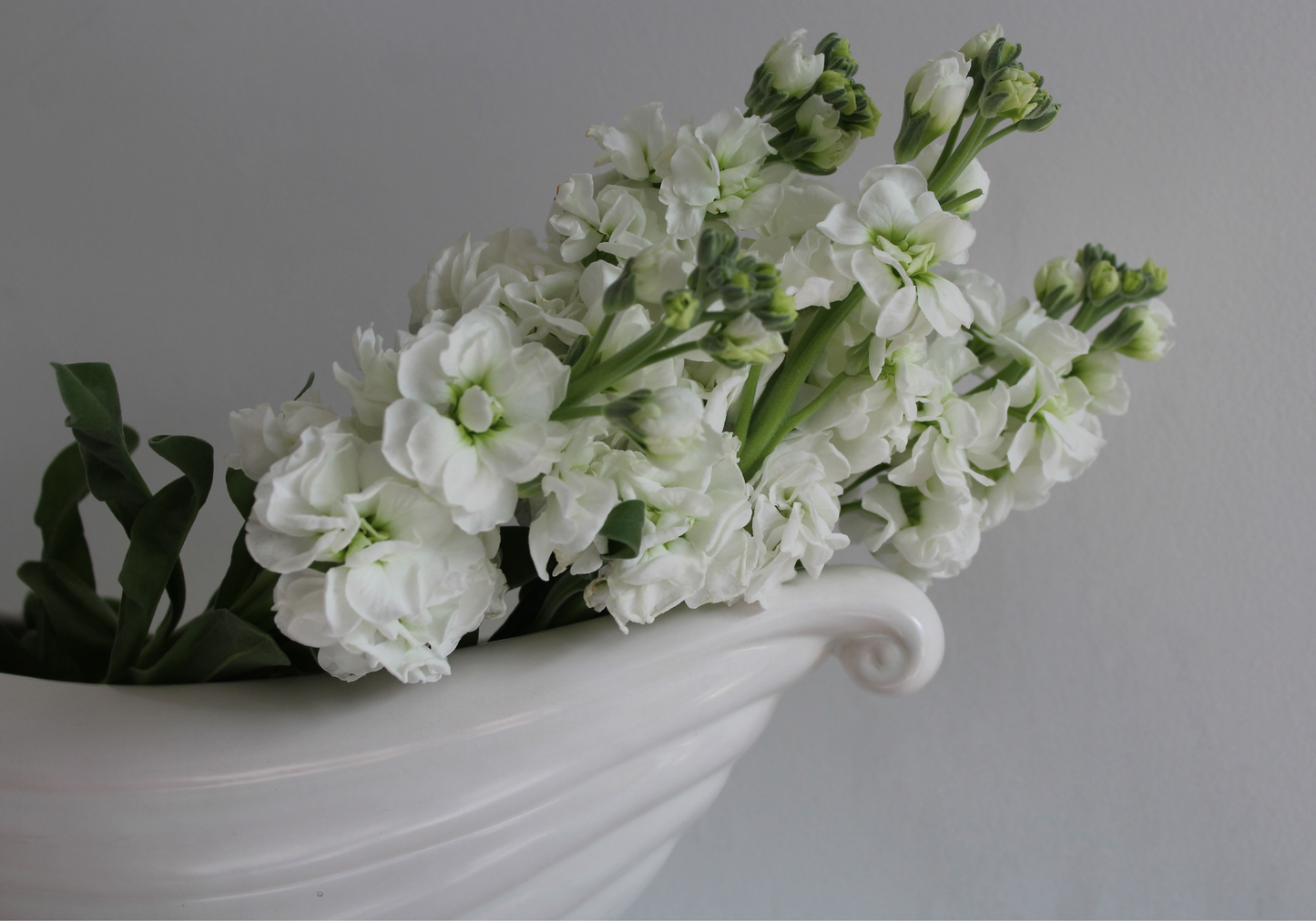 Close up scroll detail of white vintage mantle vase by Price Bros (later Price and Kensington)