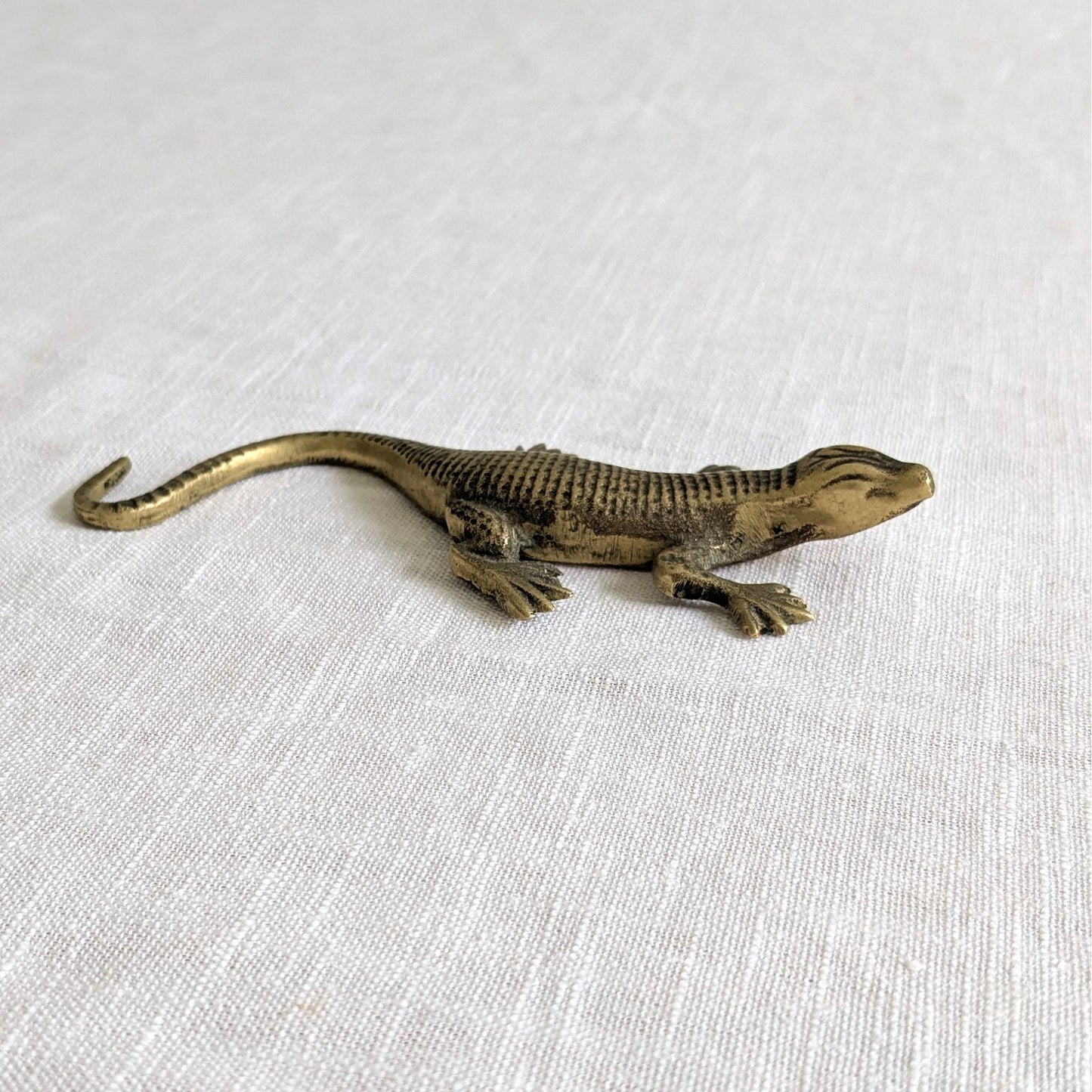 Brass Lizard