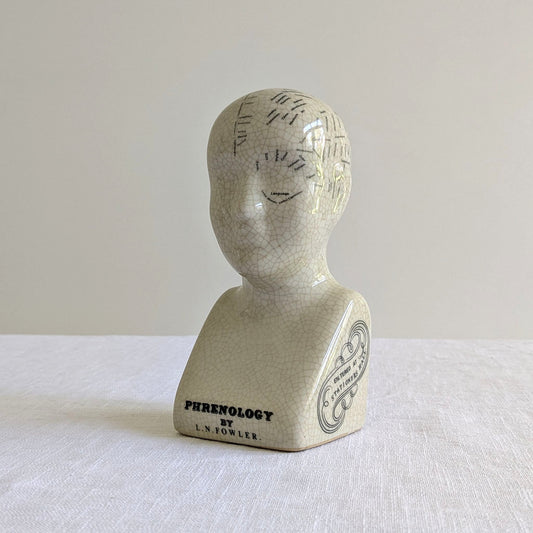 Phrenology Head