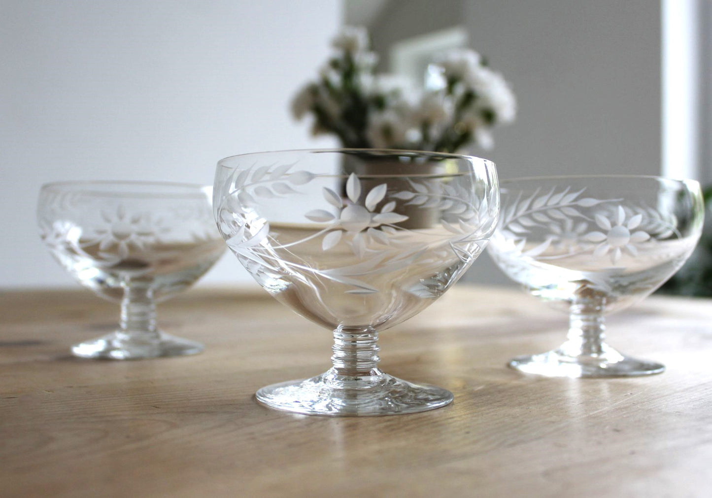 Etched Coupe Glasses (Set of 7)