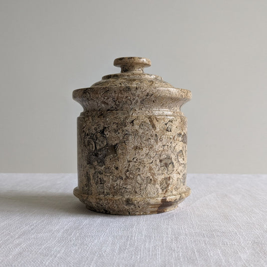 Fossil Stone Jar