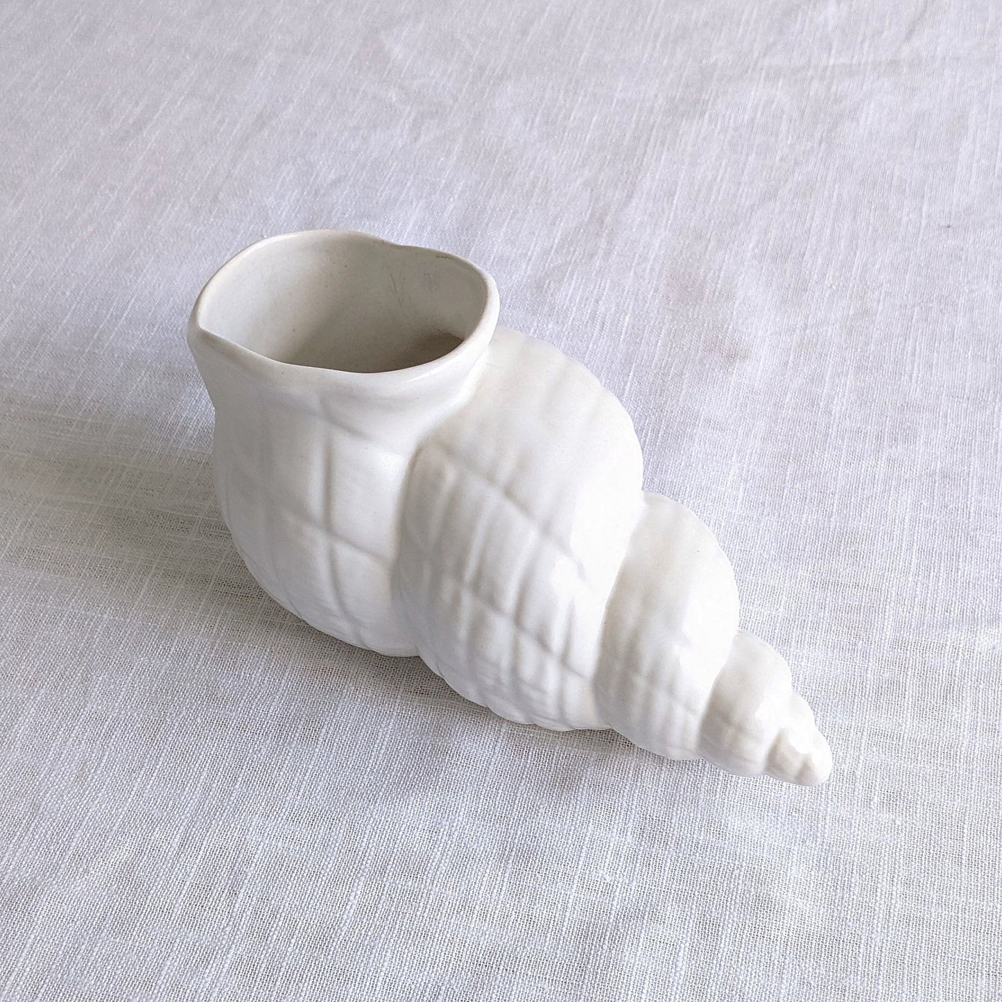 Conch Shell Posy Vase