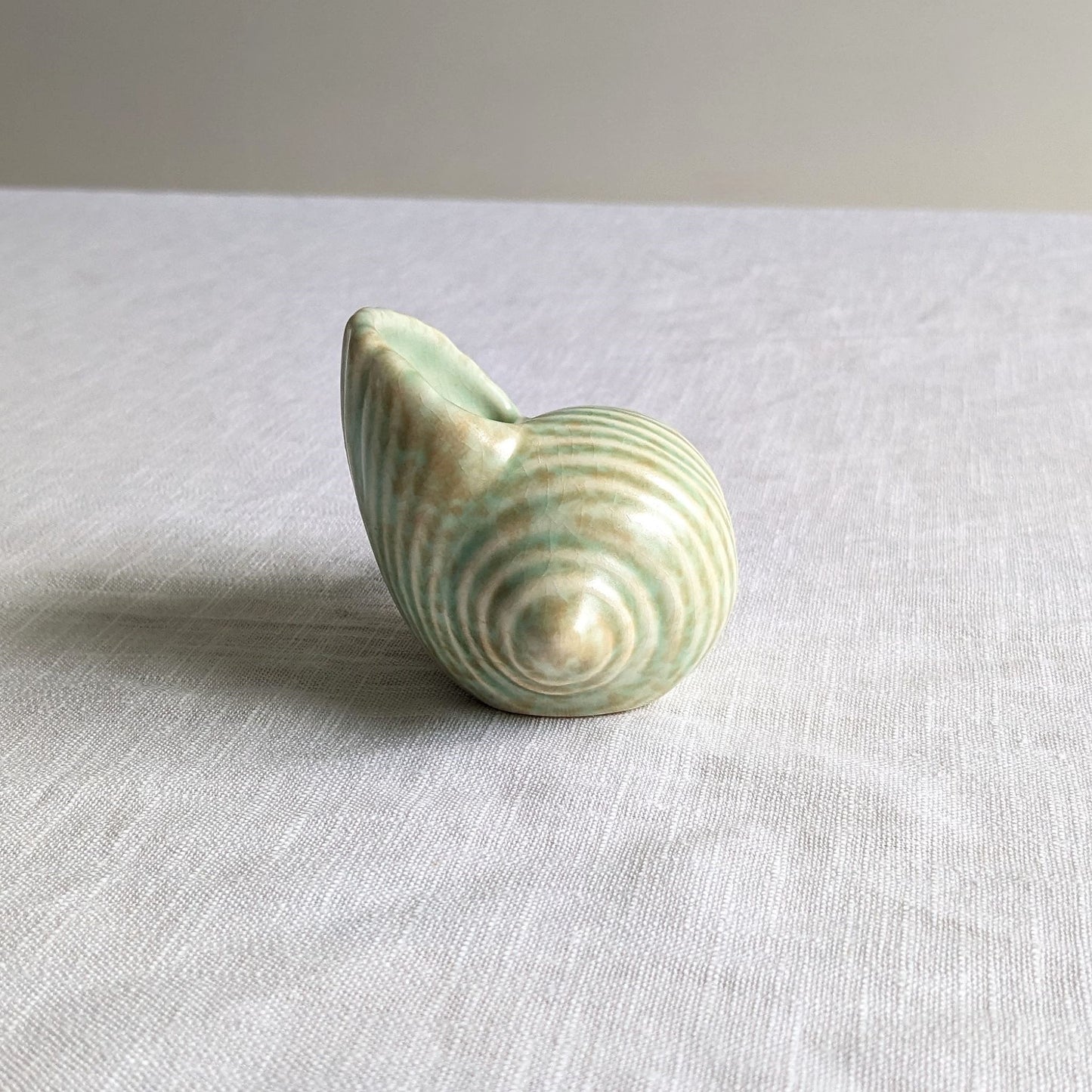 Shorter & Son Conch Shell