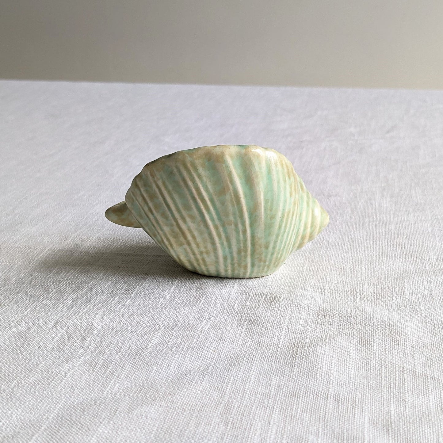 Shorter & Son Conch Shell