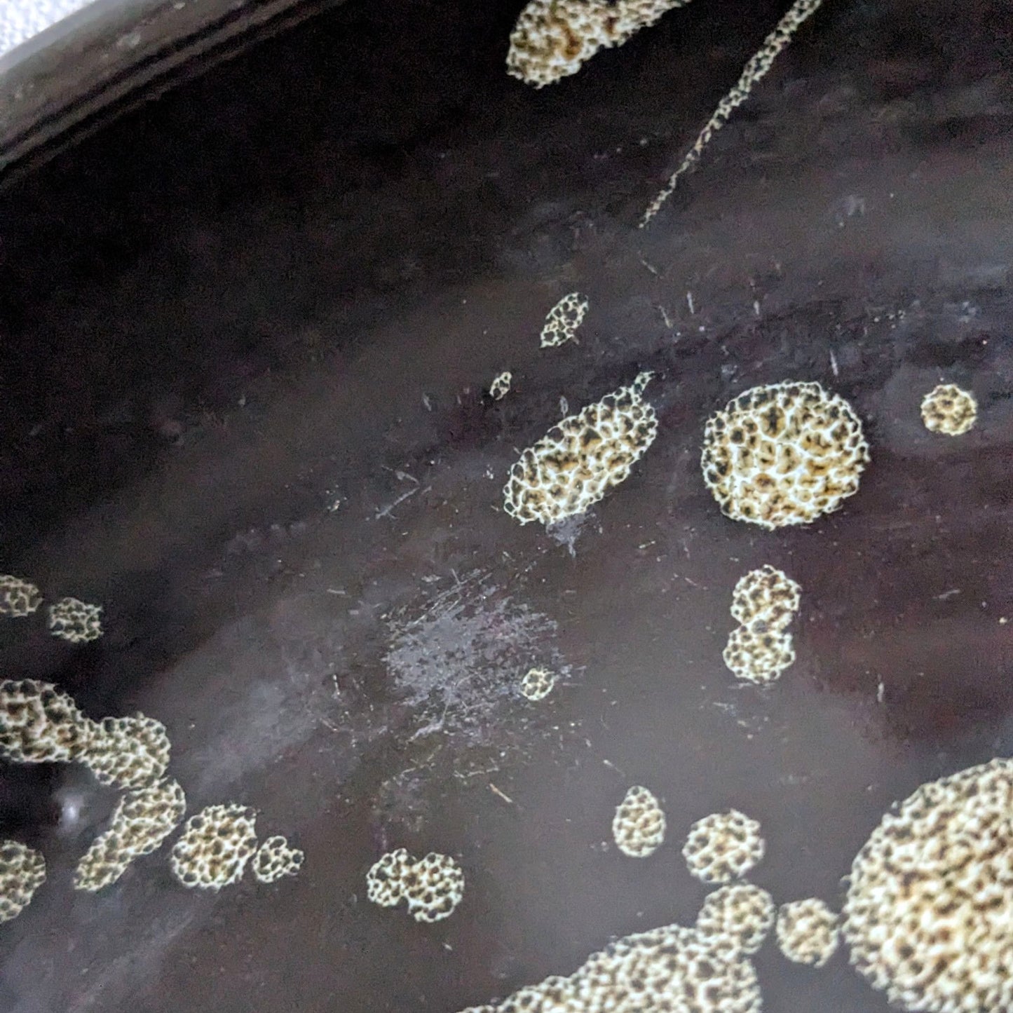 Splatter Glaze Studio Bowl