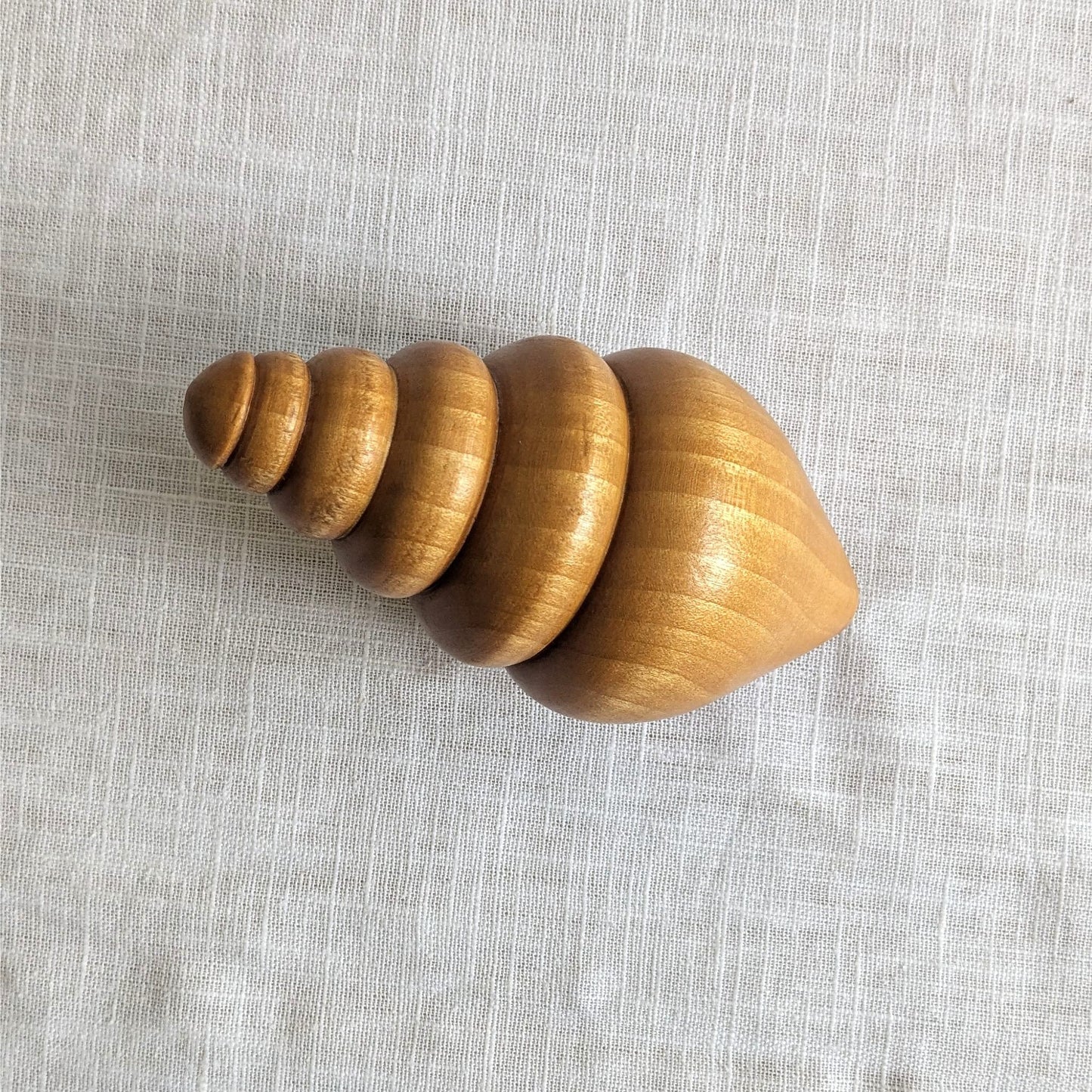 Wooden Shell Object