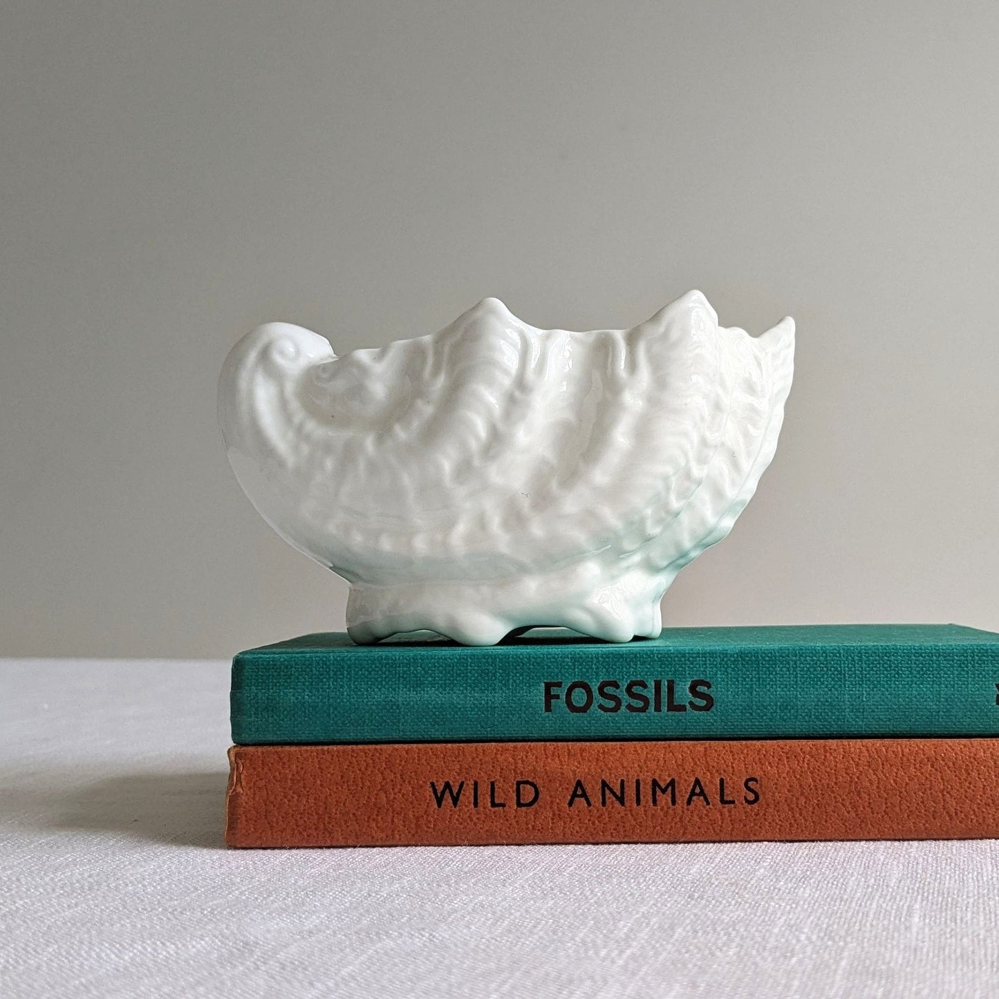 Tiny Coalport Shell