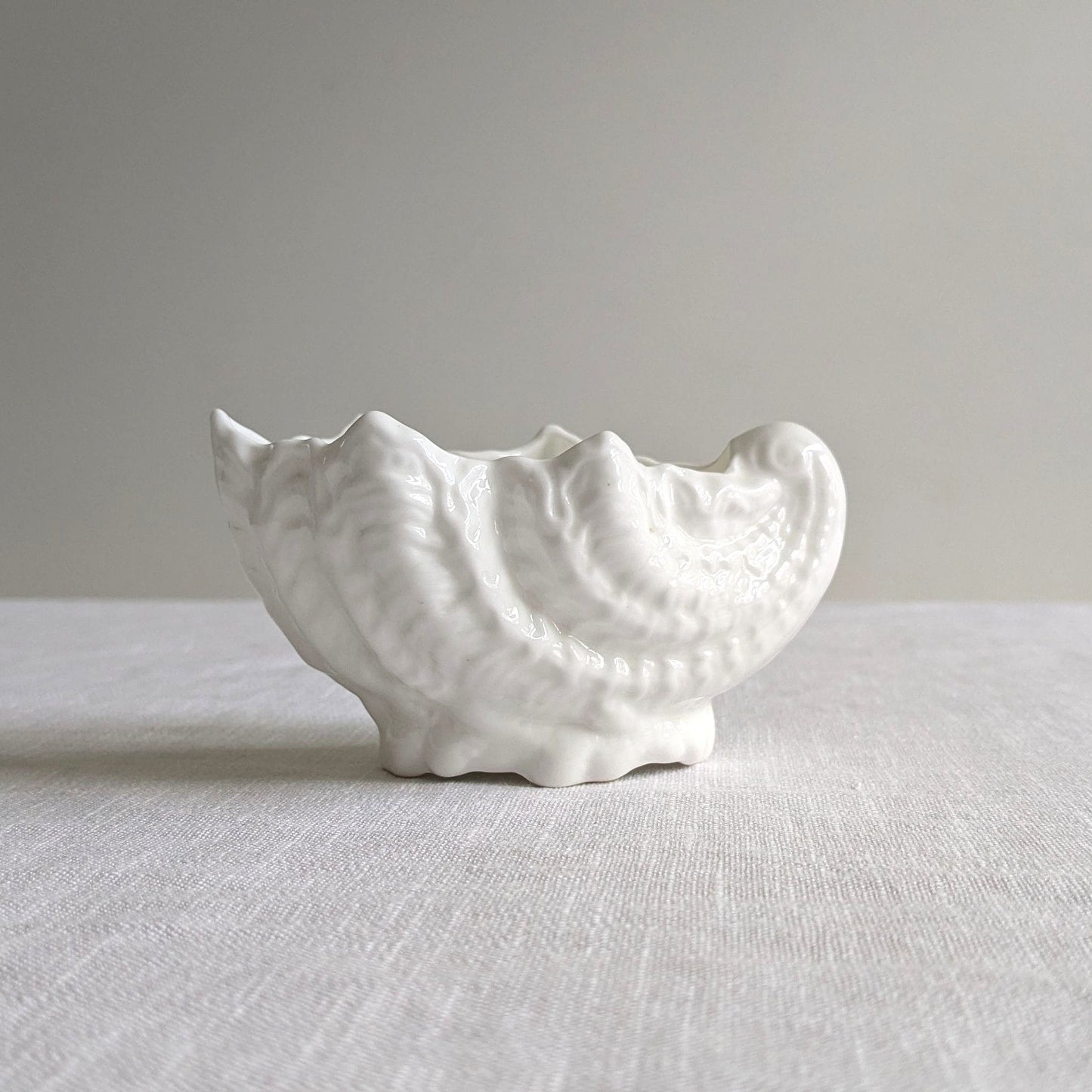 Tiny Coalport Shell