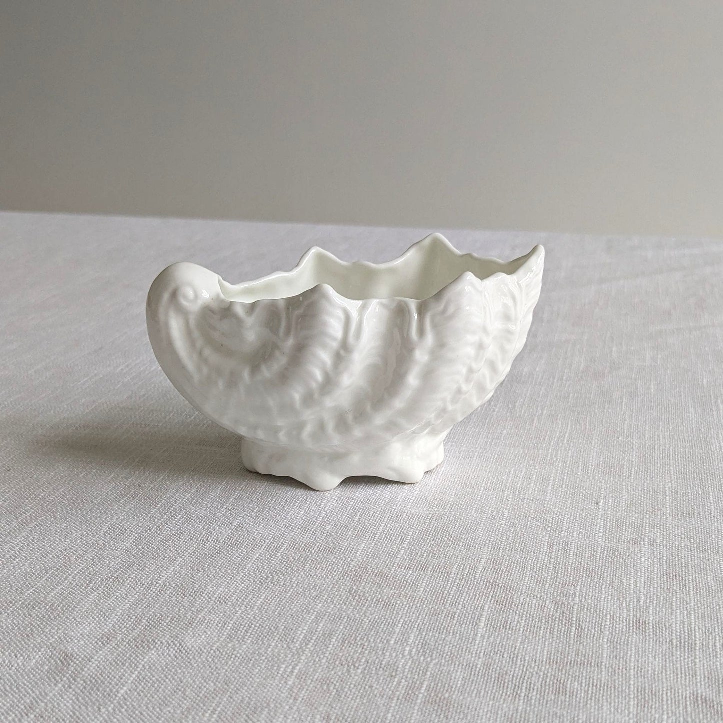 Tiny Coalport Shell