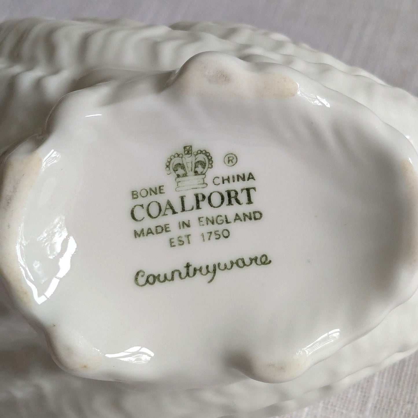 Tiny Coalport Shell