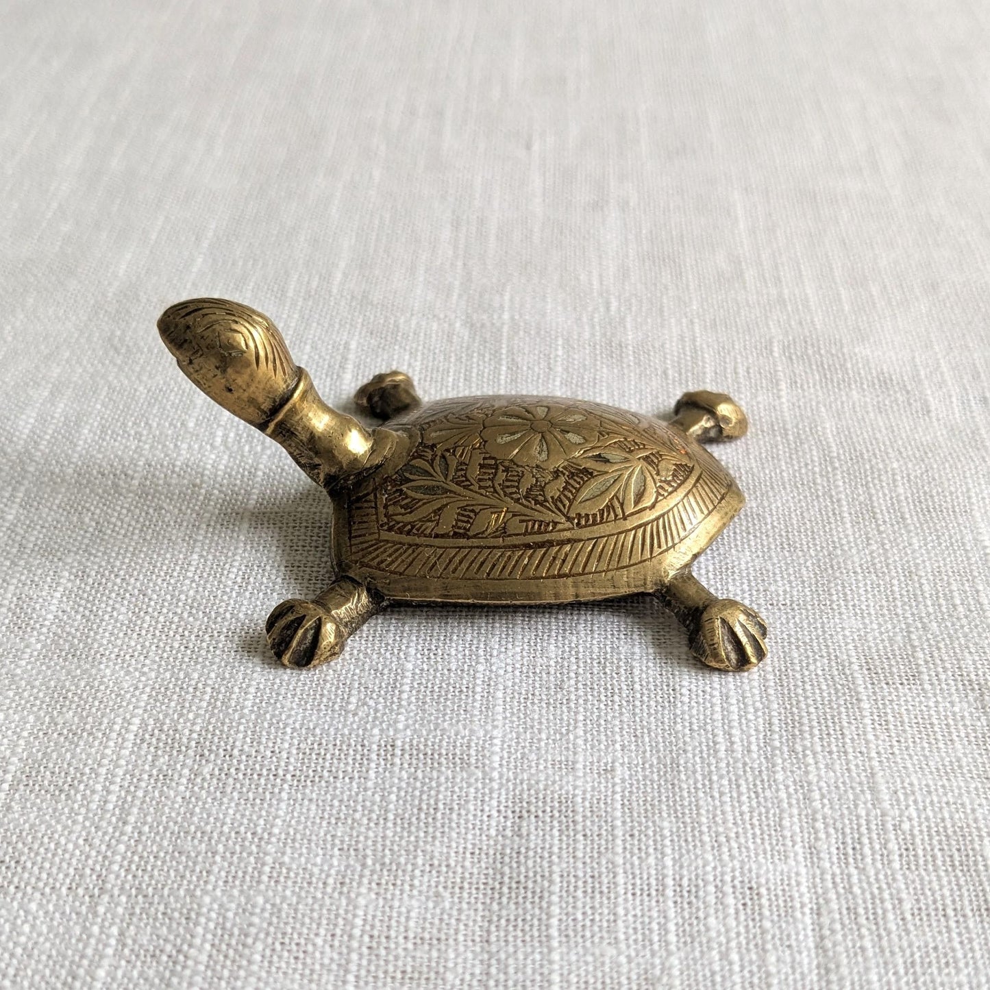 Etched Brass Tortoise
