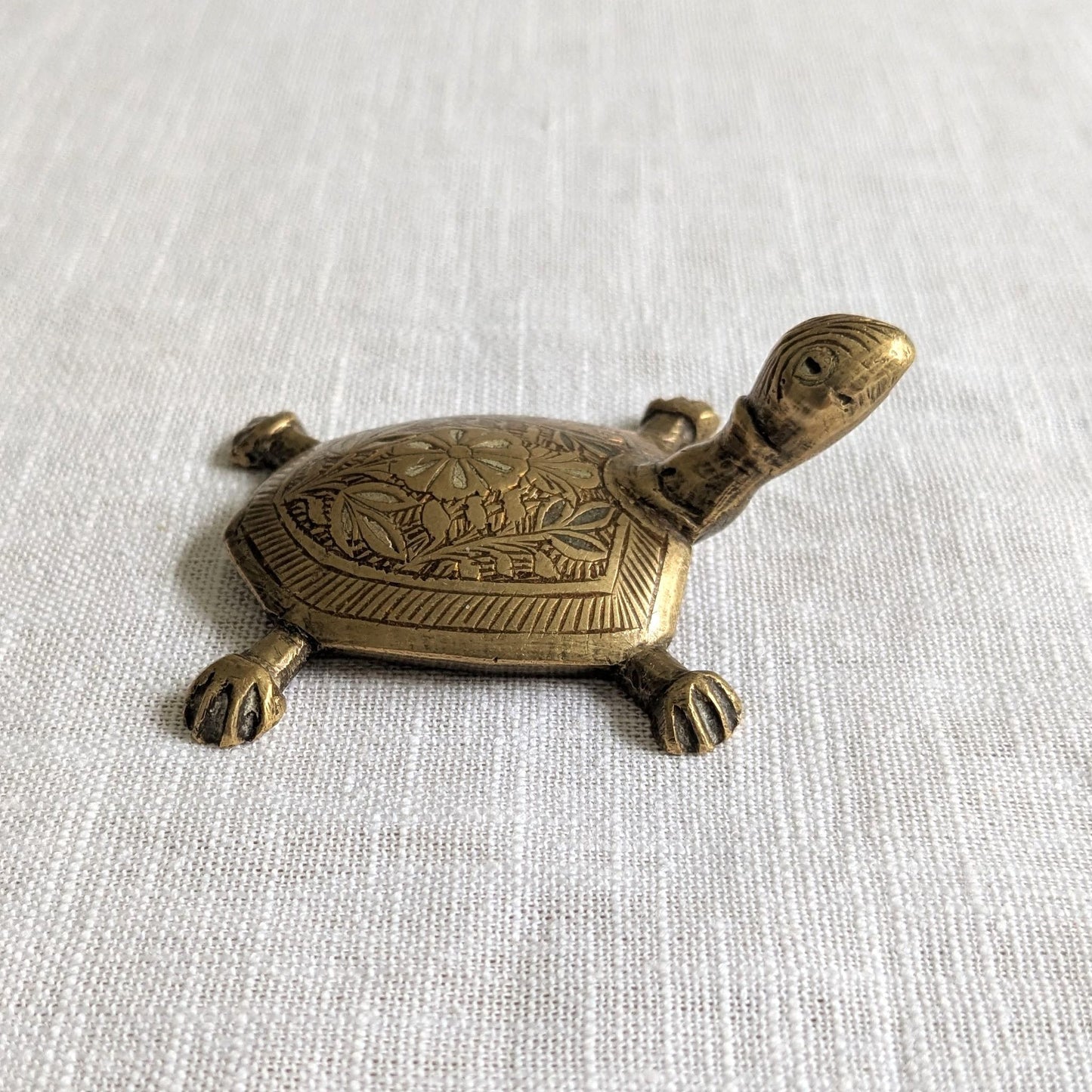 Etched Brass Tortoise