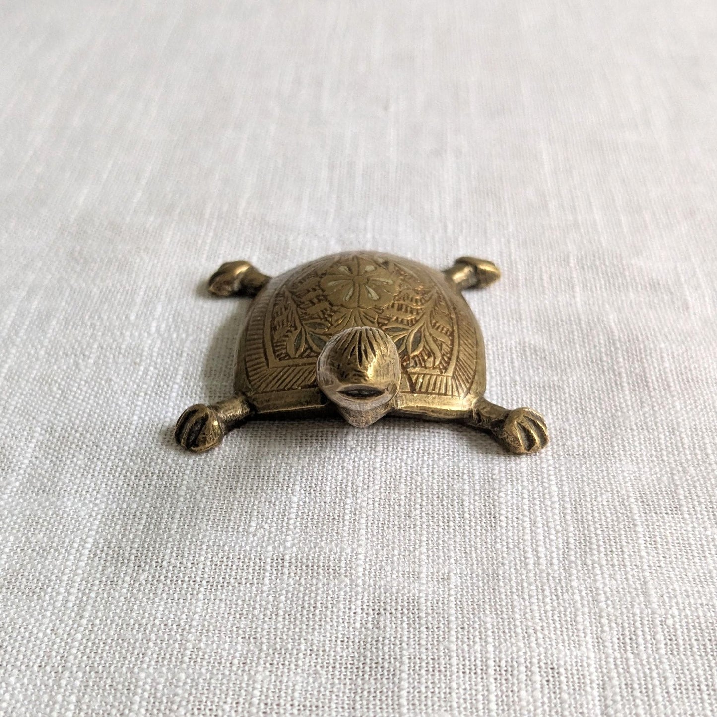 Etched Brass Tortoise
