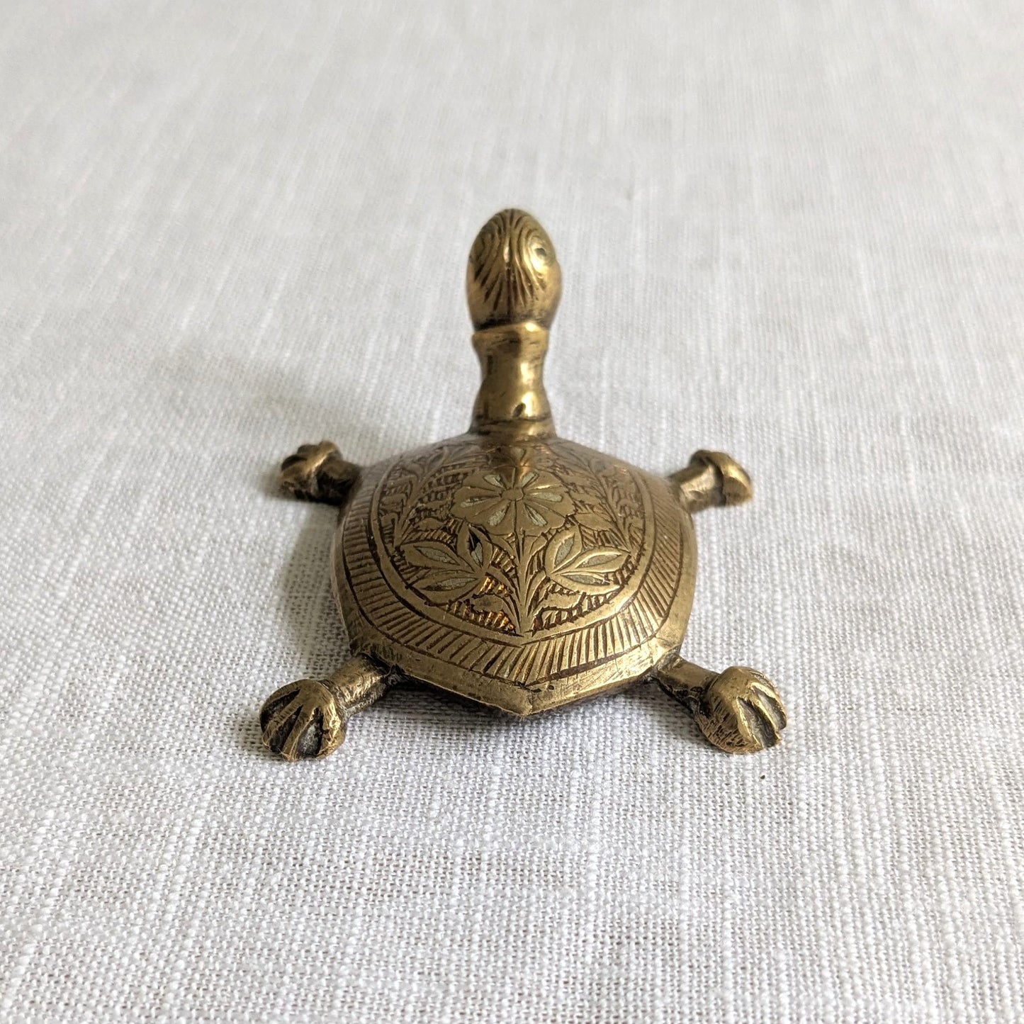Etched Brass Tortoise