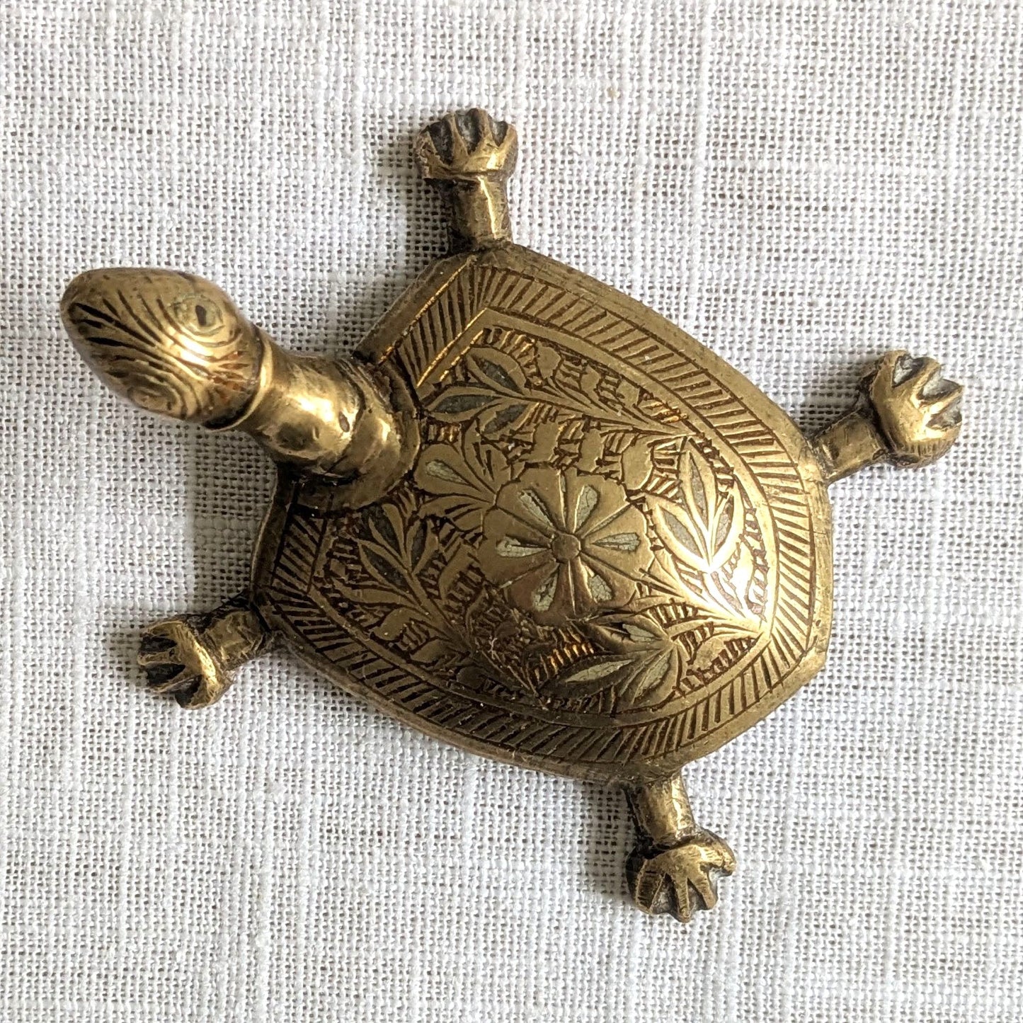 Etched Brass Tortoise