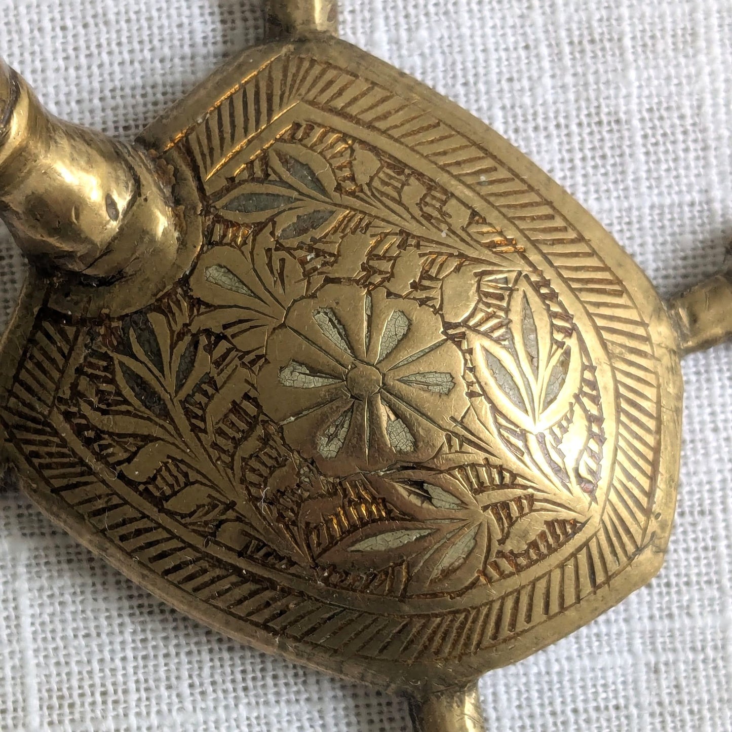 Etched Brass Tortoise
