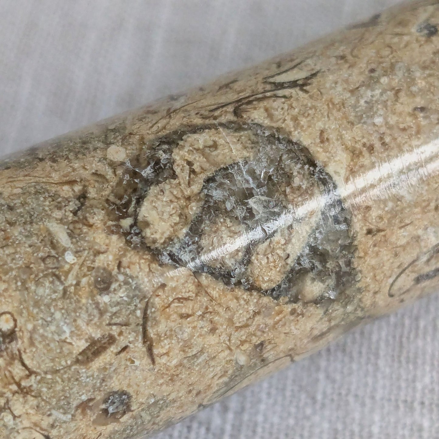 Fossil Stone Stem Vase