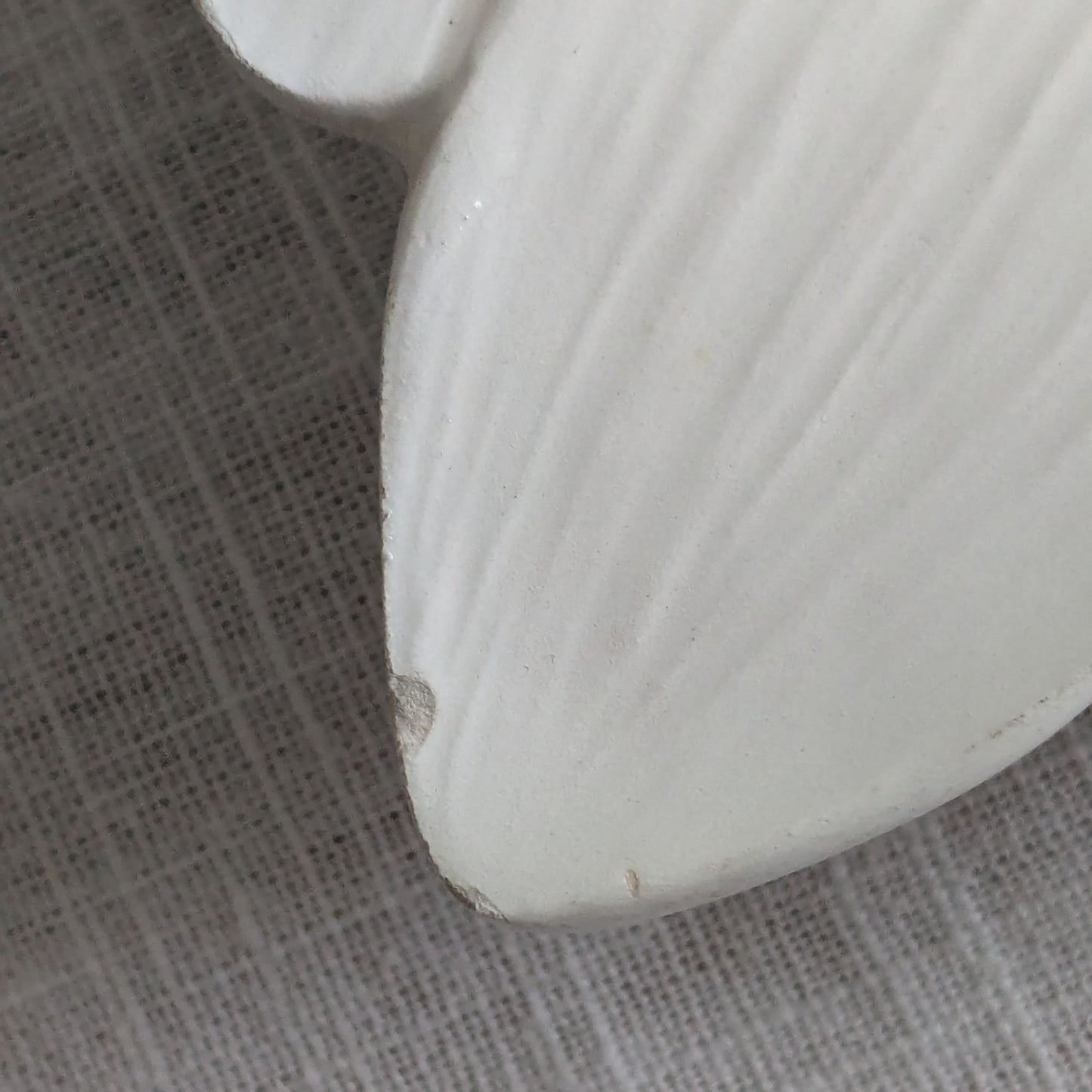 Italian Daisy Plates