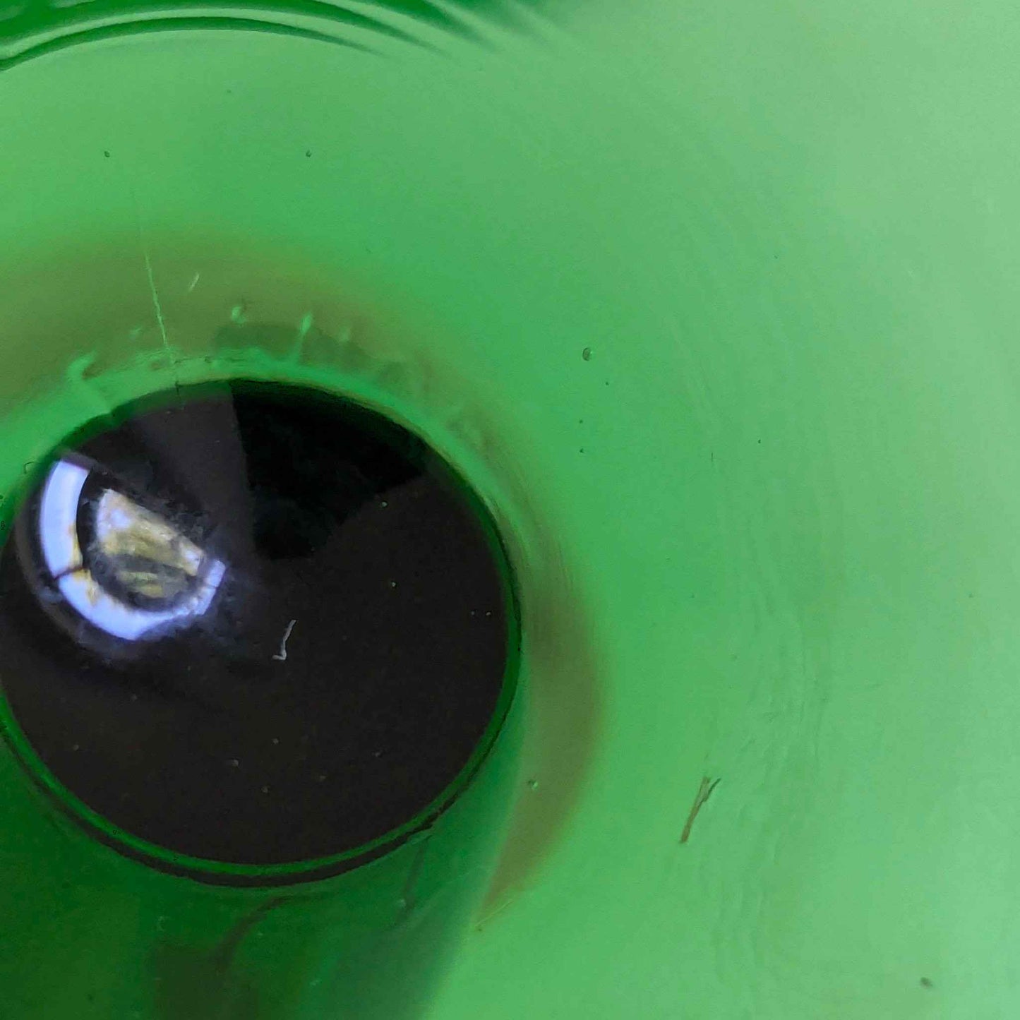 Green Stem Glasses