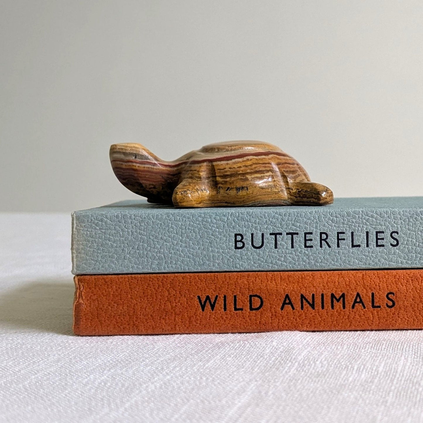 Carved Onyx Tortoise