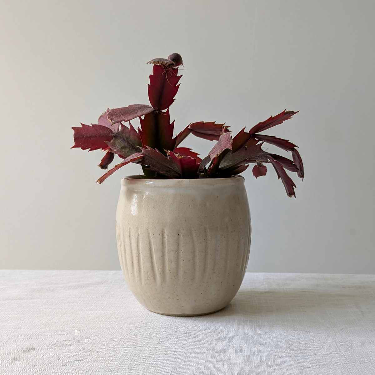 Studio Grey Planter