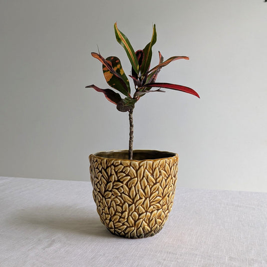 SylvaC Leaf Planter